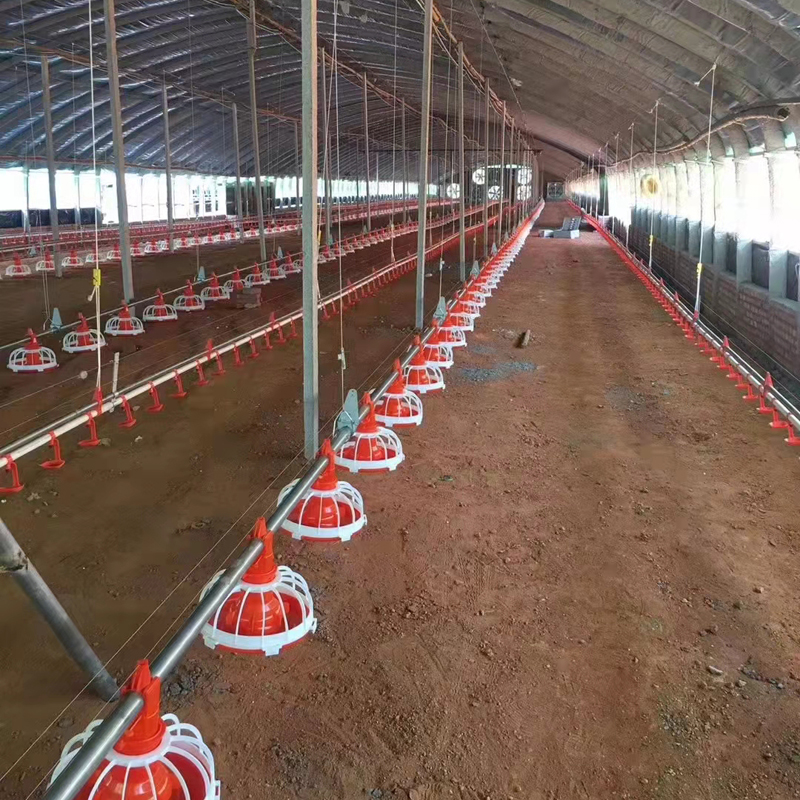 自动化养殖设备 自动上料设备 养鸡养鸡鸭猪料线 全自动平养料线 塑鑫5