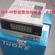 上海托克DP3-PR带上下限欧姆表 电阻测量仪表1