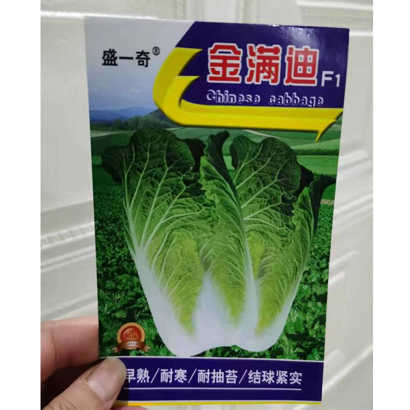 耐低温白菜种子 四季王大白菜种子 蔬菜种子、种苗 春秋大白菜种子1