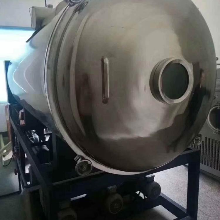 10平方真空冷冻干燥机 冻干机 杭州创意 冻干食品设备7