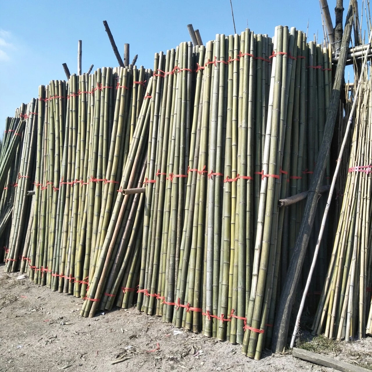 大棚支撑杆 竹片制品 竹木、藤苇、干草 竹杆 价格实惠5