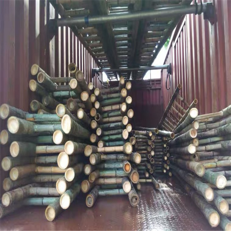 其他林业副产品 6.1米竹质二节拉梯 电力局用竹梯 竹梯子尺寸2