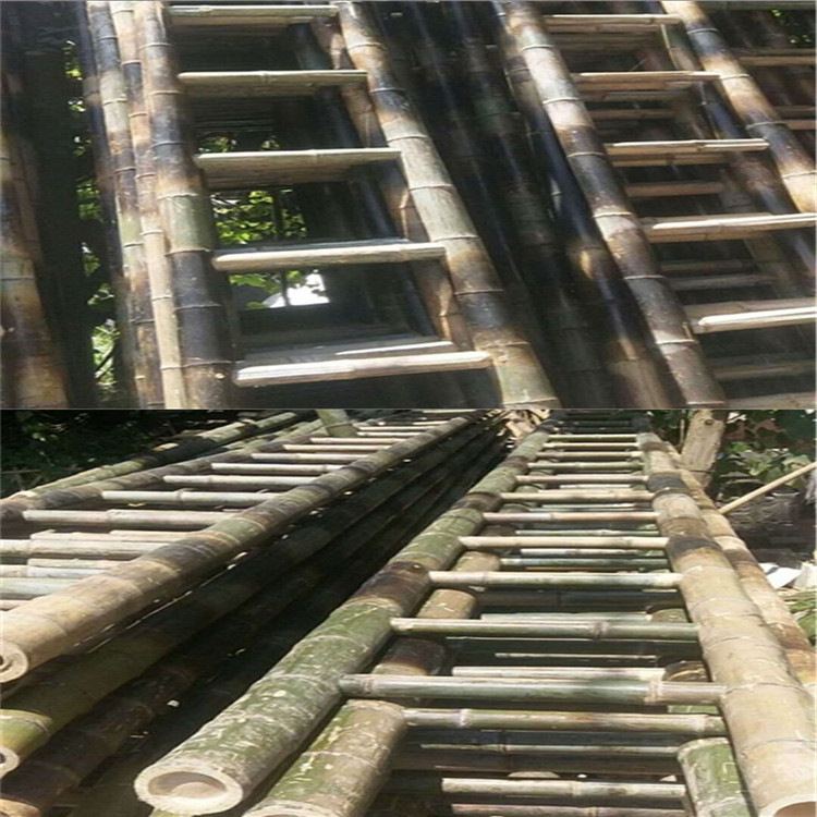 其他林业副产品 攀爬工具竹梯子厂家 工程竹梯子3