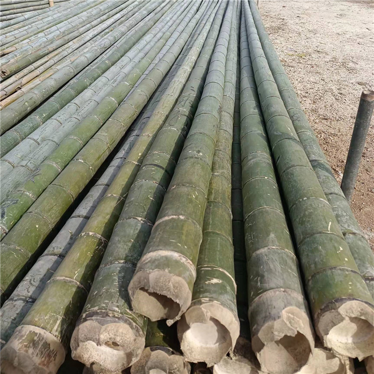 艳平竹制品 竹木、藤苇、干草 毛竹梢工地用毛竹 农用搭架竹杆2