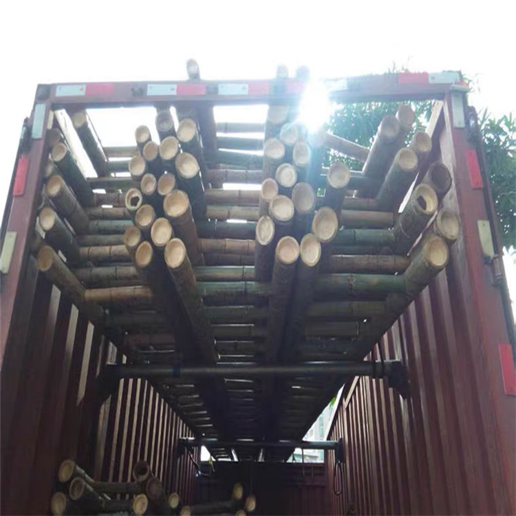 工程竹梯子 其他林业副产品 五米长竹梯3