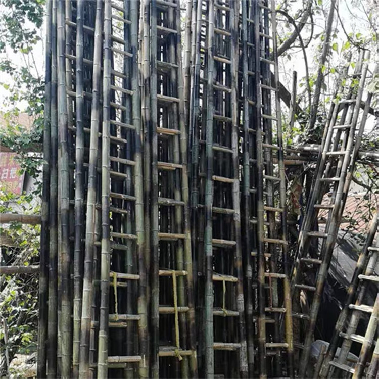 其他林业副产品 6.1米竹质二节拉梯 电力局用竹梯 竹梯子尺寸4