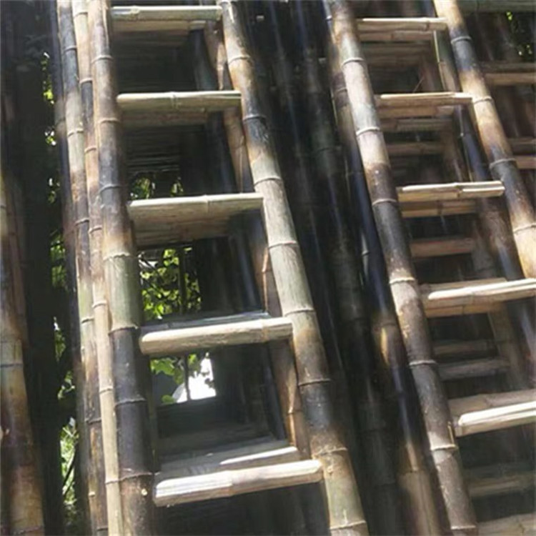 毛竹梯子价格 6.1米竹质二节拉梯 其他林业副产品 攀爬工具竹梯子厂家1