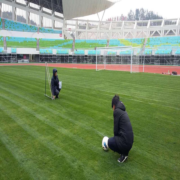 西藏人造草坪厂家 足球场人造草坪报价 运动人造草坪
