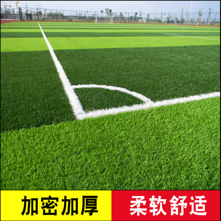 人造草坪场地 学校足球场人工草坪 西藏人造草坪铺设施工