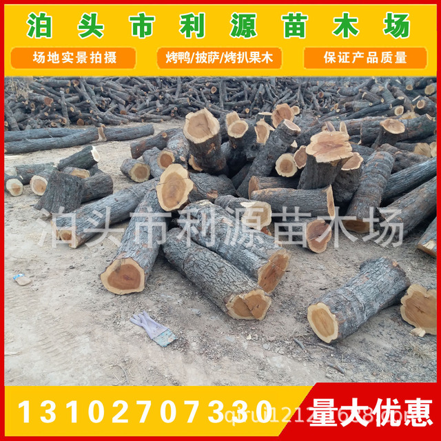 货源稳定 枣木墩用料 雕刻枣木 常年大量供应优质枣木原木 枣木3