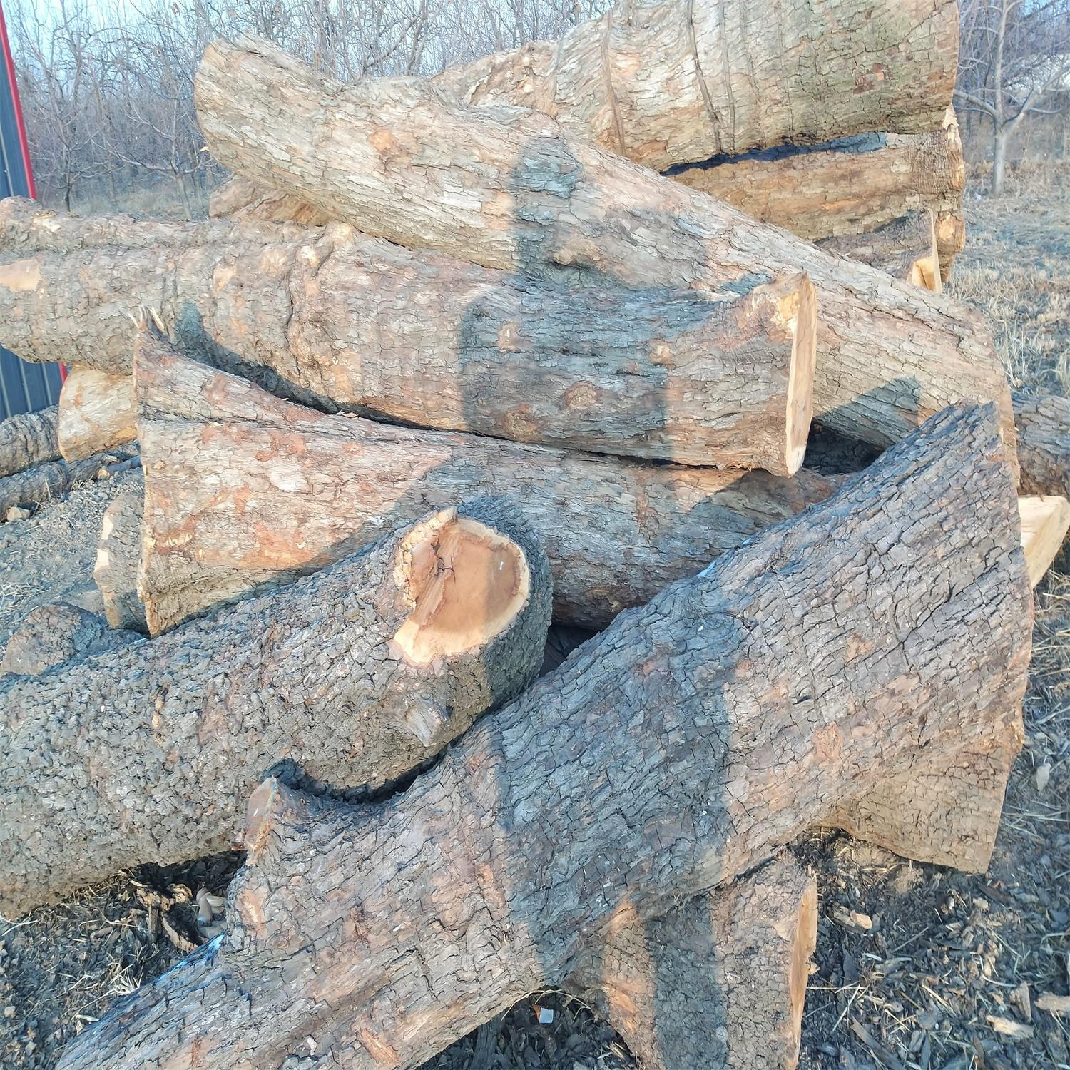 货源稳定 枣木墩用料 雕刻枣木 常年大量供应优质枣木原木 枣木