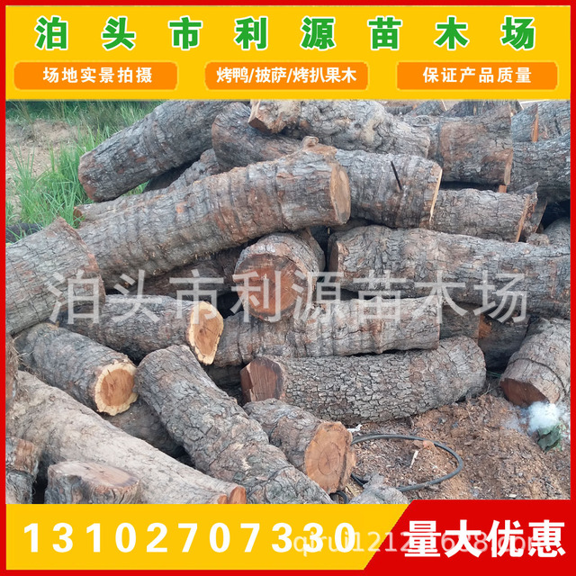 货源稳定 枣木墩用料 雕刻枣木 常年大量供应优质枣木原木 枣木6