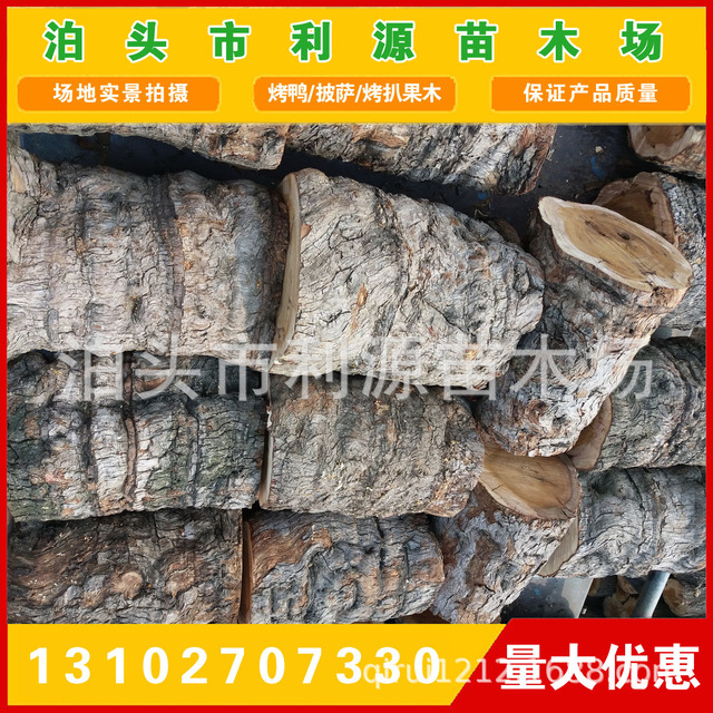 工艺枣木大量出售优质枣木枣树木直径25-50公分工艺枣木7