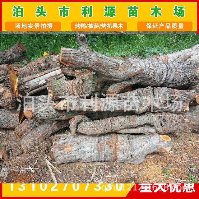货源稳定 枣木墩用料 雕刻枣木 常年大量供应优质枣木原木 枣木2