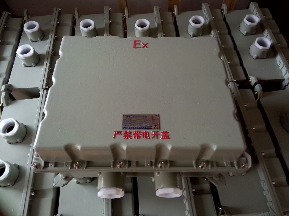 4防爆接线端子箱 BXJ51-20 防爆器材1