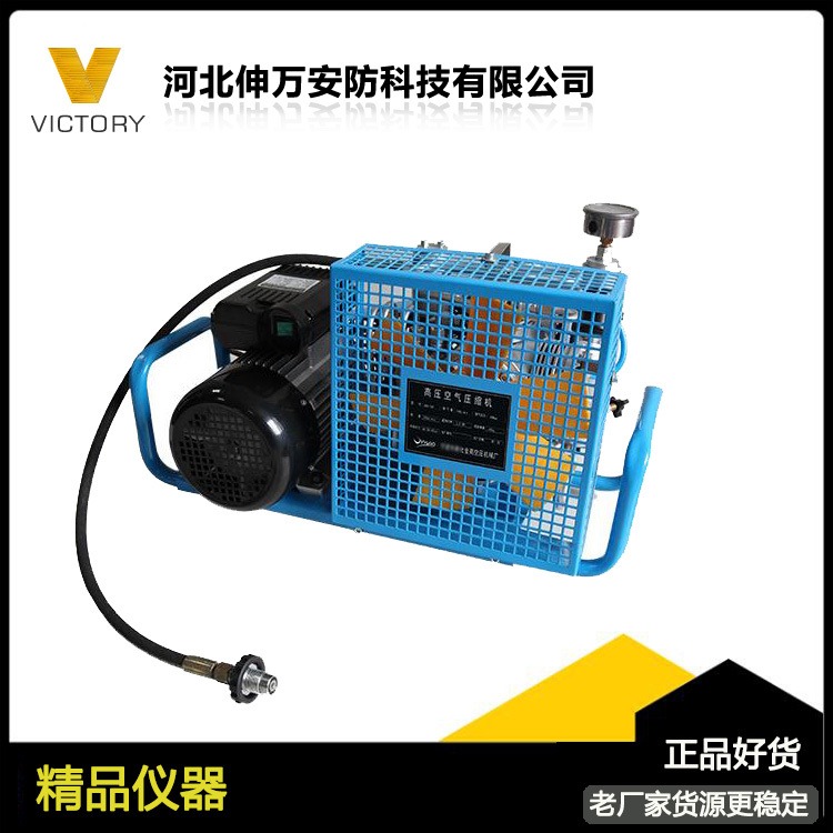 工业用空气充气装置 空气呼吸器充气泵 伸万微型制动空气压缩机