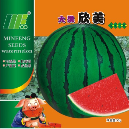 西瓜种子 大果欣美 民丰种业 水果种子、种苗
