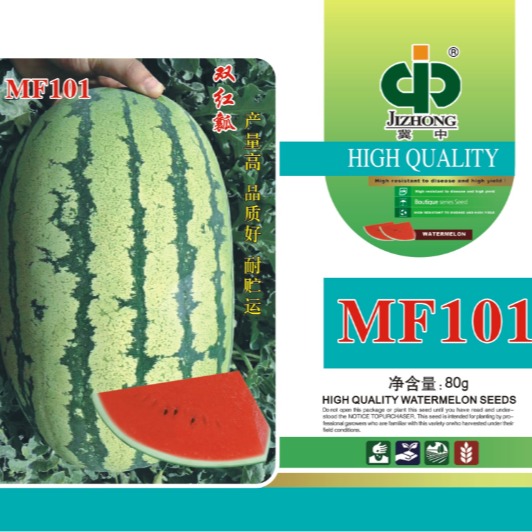 水果种子、种苗 西瓜种子 冀中品牌 MF101