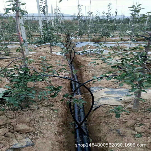 永顺县果园灌溉设备 果树滴灌设备除沙罐 灌溉工具7