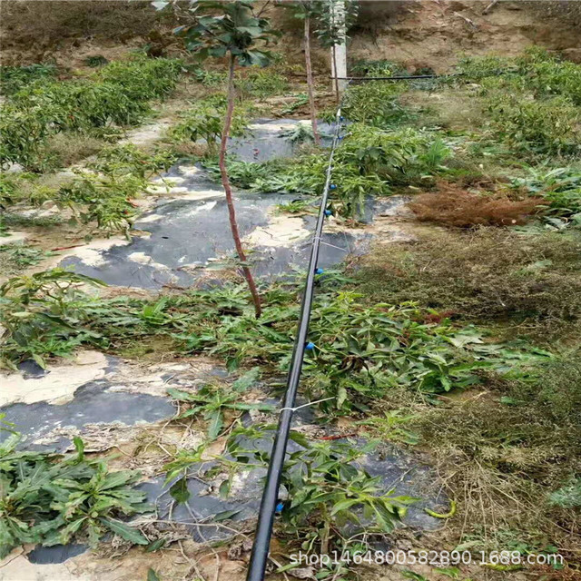永顺县果园灌溉设备 果树滴灌设备除沙罐 灌溉工具8