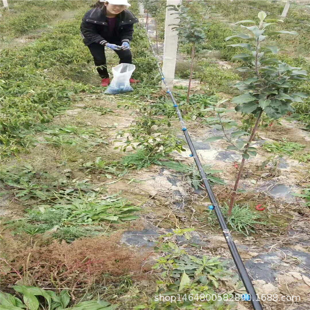 永顺县果园灌溉设备 果树滴灌设备除沙罐 灌溉工具9