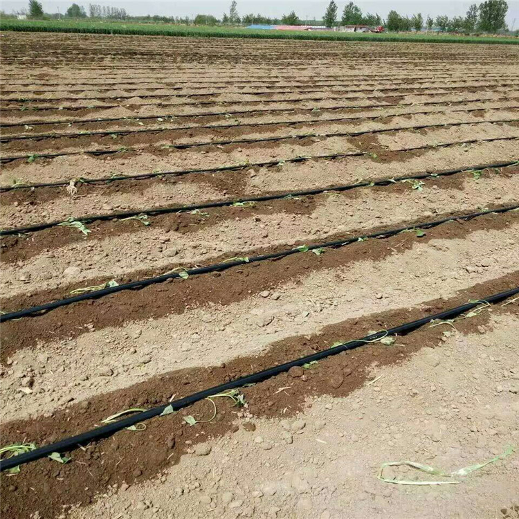 新型滴灌带 滴灌带配件 厂家直销 萍乡 灌溉工具1