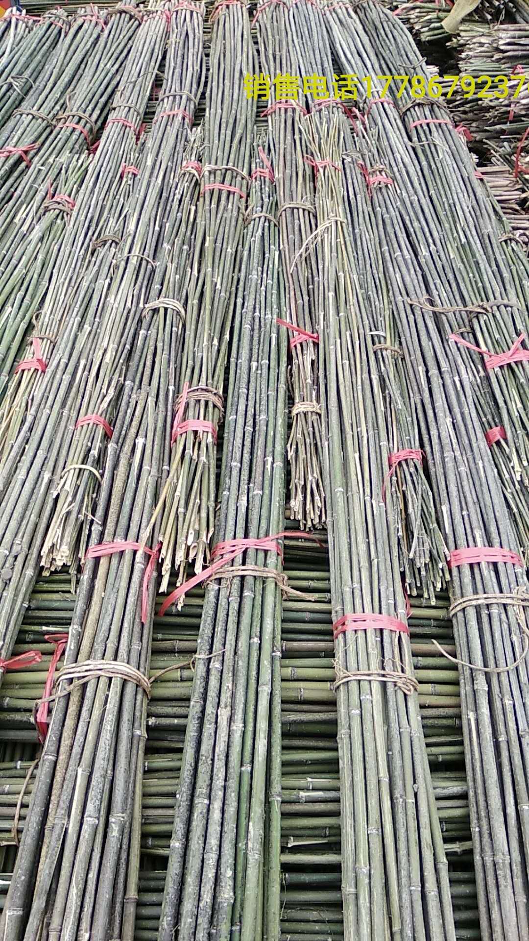 各种菜架竹批发 湖南产地销售2.2米-3米菜架竹竿 厂家发货5