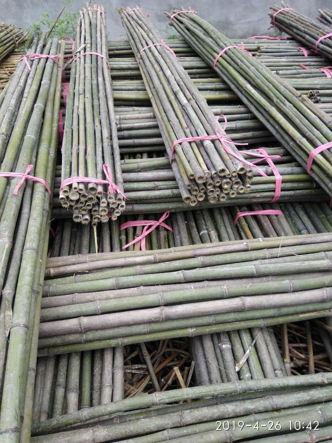 树木支撑竹杆 竹木、藤苇、干草 竹片 鄂西北各种尺寸竹杆 温室大棚竹杆1