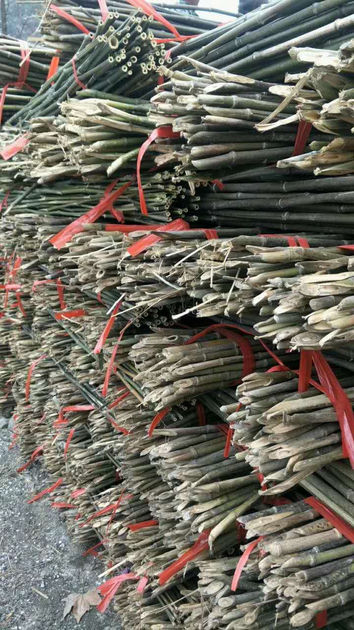 各种菜架竹批发 湖南产地销售2.2米-3米菜架竹竿 厂家发货6