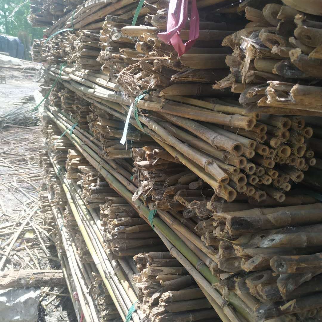 农用温棚竹竿 绿化树木支撑竹竿批发 产地厂家各类2-3米蔬菜搭架细竹竿
