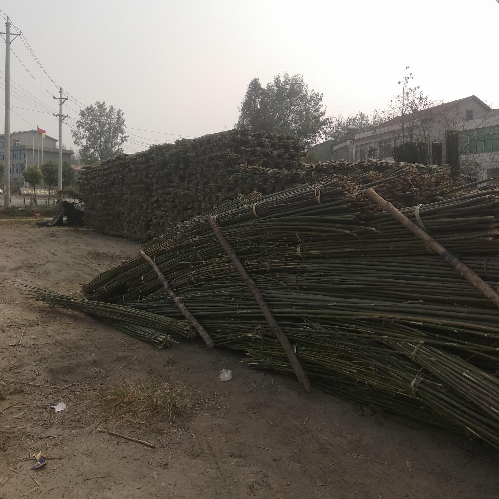 原产地2.2米2.5米2.7米2.8米3米竹竿批发 竹木、藤苇、干草