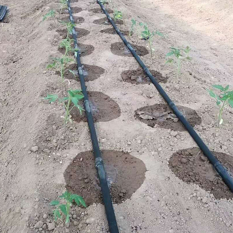 厂家批发 农林 大棚灌溉用贴片式滴灌带厂家 果树 亿田节水4