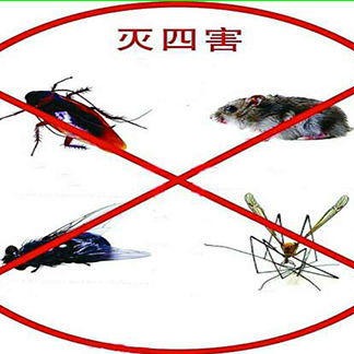 西安正规灭鼠消蟑螂公司 防蚊、防蛀、灭鼠杀虫用品