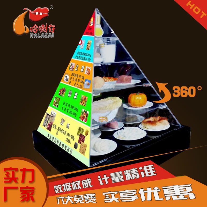 中国营养协会健康金字塔模型 2016新版中国居民膳食宝塔模型豪华款 哈喇仔 健康小屋配套 可360°旋转