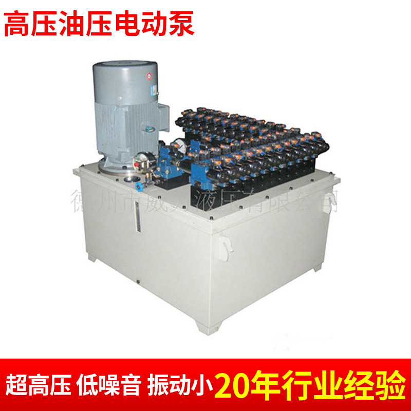 立式电动泵 双回路液压泵电动泵 高压油压电动泵 液压工具电动泵4