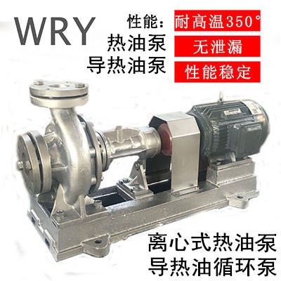 WRY125-100-250无水冷却常州生产厂家直销 售后无忧 耐高温 55KW WRY离心式热油泵风冷式 质量优9