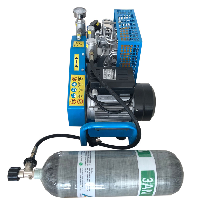 200L 三安厂家直销空气填充泵（高压压缩充气泵）100L 300L3