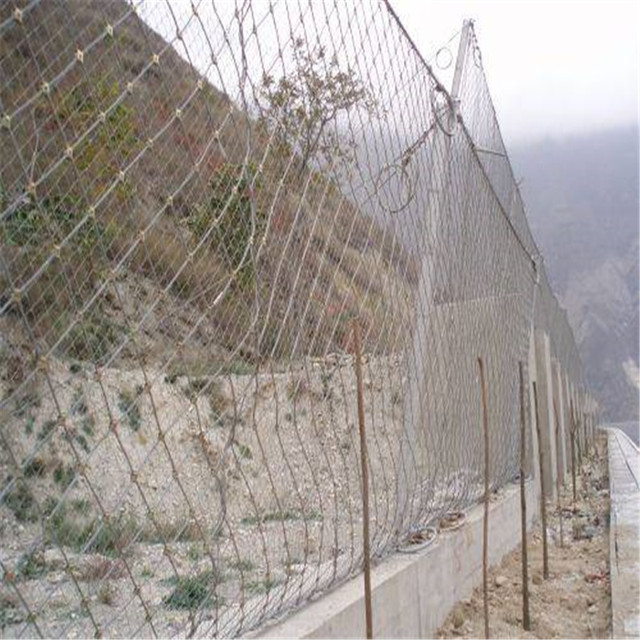 被动防护网 被动边坡防护网 石头防坠网 自然灾害防护 供应 4