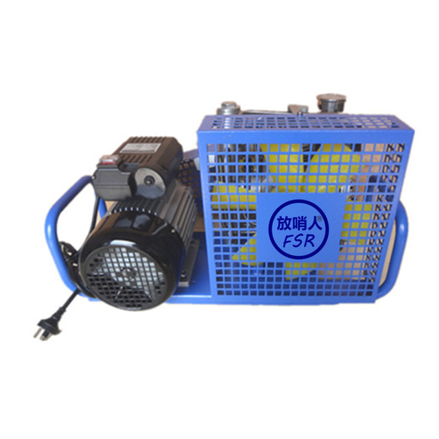 放哨人 空气呼吸器充气泵 空气充填泵 BX100空气充气泵5