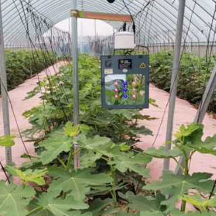 温室植物补光灯红皎阳植物生长灯厂家直销M101草莓樱桃冬枣补光灯1