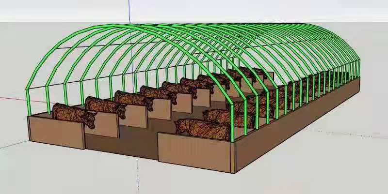 生产厂家 全国蔬菜花卉种植大棚连动薄膜温室大棚 蔬菜大棚薄膜大棚1