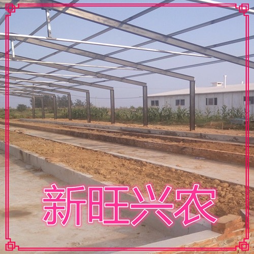 新旺兴农养殖大棚建设8411圆拱蔬菜种植大棚3