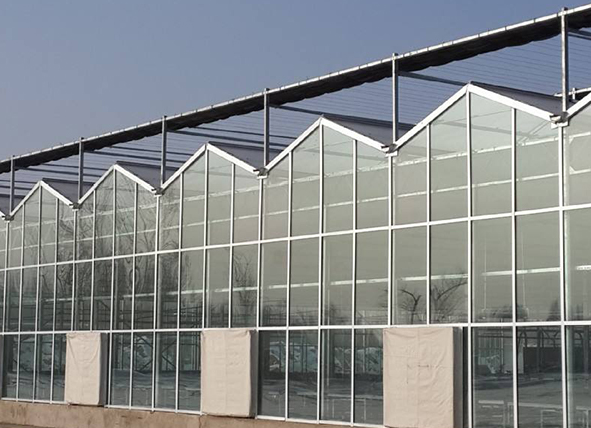 蔬菜花卉种植 玻璃温室大棚 现代农业大棚 智能温室大棚 蔬菜温室大棚 智能玻璃温室6