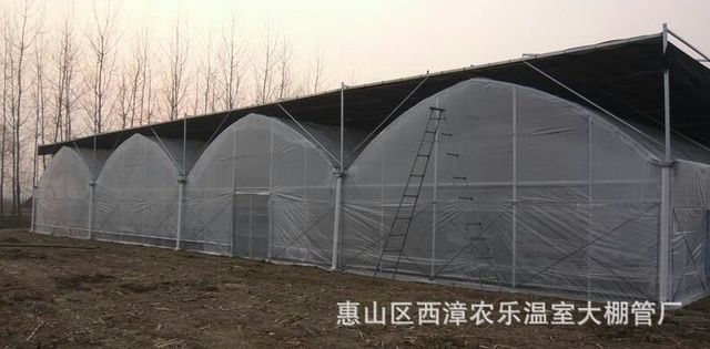 温室、大棚 厂家直销GPL-832型连栋温室大棚 草莓温室大棚