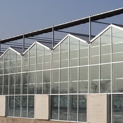 蔬菜花卉种植 玻璃温室大棚 现代农业大棚 智能温室大棚 蔬菜温室大棚 智能玻璃温室