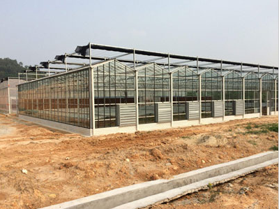 蔬菜花卉种植 玻璃温室大棚 现代农业大棚 智能温室大棚 蔬菜温室大棚 智能玻璃温室2