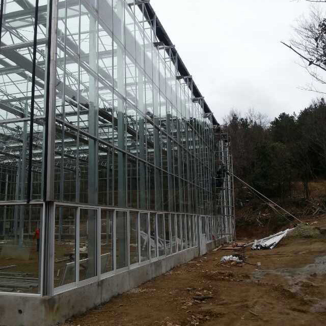 智能温室温室大棚 智能玻璃温室 玻璃大棚 温室大棚 钢化玻璃大棚1