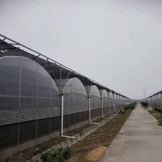 温室、大棚 厂家直销GPL-832型连栋温室大棚 草莓温室大棚4