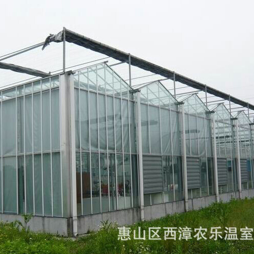 智能温室温室大棚 智能玻璃温室 玻璃大棚 温室大棚 钢化玻璃大棚4