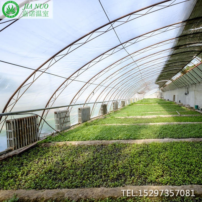 绿色蔬菜大棚厂家建设 温室、大棚 嘉诺绿色蔬菜大棚 蔬菜大棚